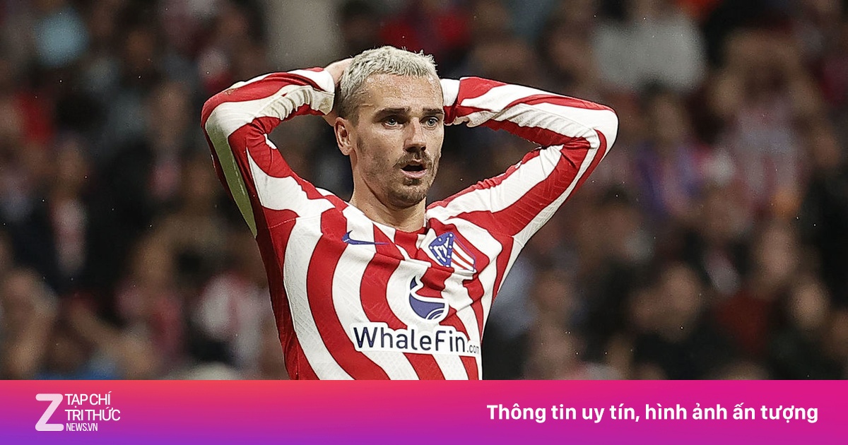 不仅仅是一